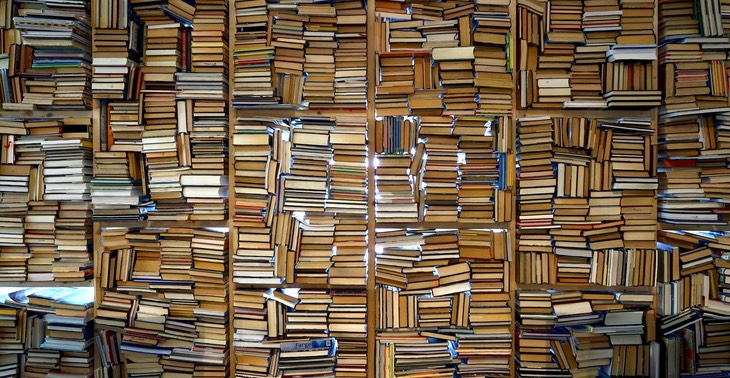 Bergtatt_bokveggdetalj