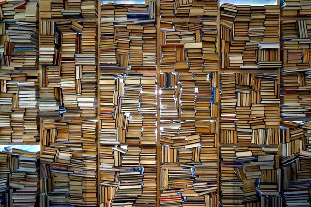 Bergtatt_bokveggdetalj